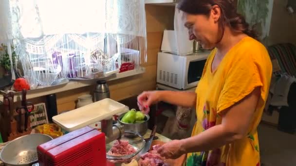 Woman Cuts Raw Meat Pieces Meat Grinder Kitchen Red Cat — Stock Video