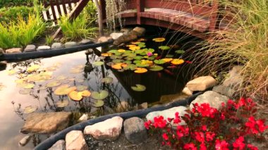 Güzel yeşil ve sarı nilüferler bir köprünün altındaki gölette.