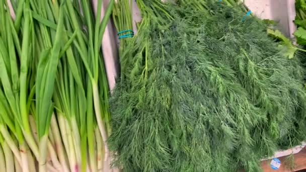 Een Verscheidenheid Aan Gezonde Natuurlijke Greens Toonbank Markt Bieslook Dille — Stockvideo