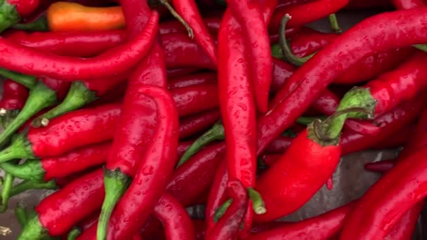 红辣椒是一种很好的调味品 美丽的自然背景 — 图库视频影像