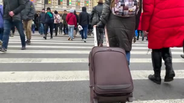 Petersburg Russia October 2019 Two Women Suitcases Walking Pedestrian Crossing — Stock Video