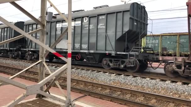 Petersburg Rússia Outubro 2019 Grandes Vagões Trem Verde Marrom Voltam — Vídeo de Stock