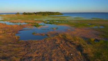 Gün batımında güzel Rus doğası. Kumsal, orman ve mavi deniz manzarası. Doğanın havadan çekilmiş videosu.