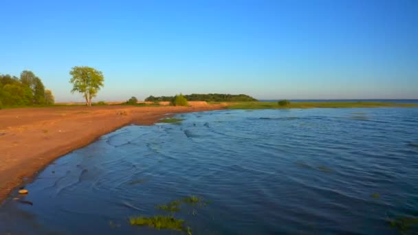 Hermosa Naturaleza Rusa Atardecer Vista Playa Bosque Mar Azul Vídeo — Vídeos de Stock