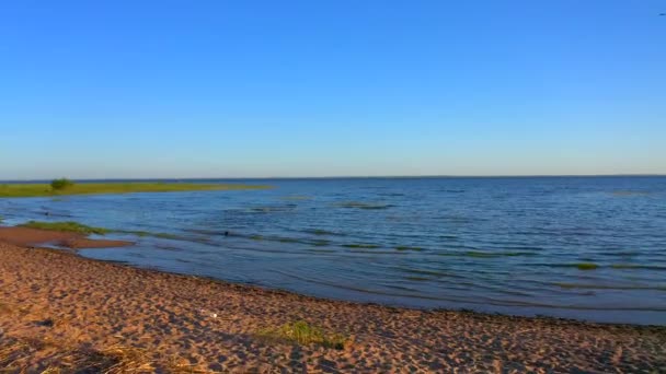 Moře Při Západu Slunce Pěkný Výhled Pláž Modré Moře Letecké — Stock video