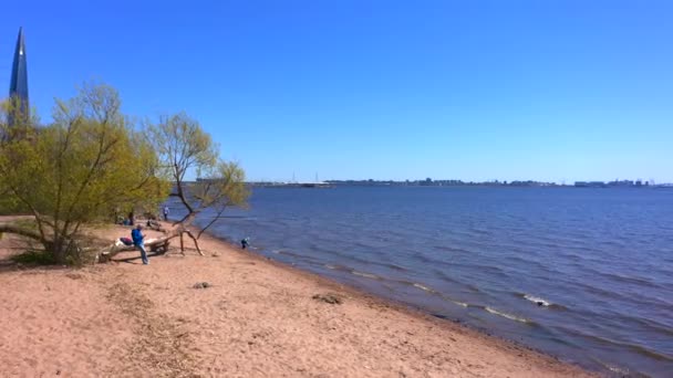 Petersburg Russia Mayıs 2020 Güzel Plaj Şehrin Yakınında Kumsalda Dinlenen — Stok video