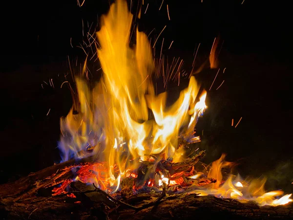 Large Flaming Bonfire Sparks Particles Front Forest Night — Stock Photo, Image