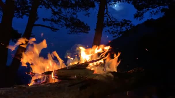 Hombre Lanza Leña Fuego Una Gran Hoguera Llamas Con Chispas — Vídeos de Stock