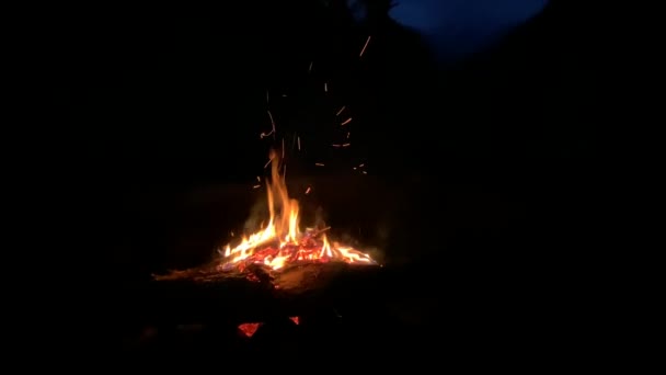 Een Brandend Kampvuur Met Vonken Deeltjes Voor Een Bos Bergen — Stockvideo