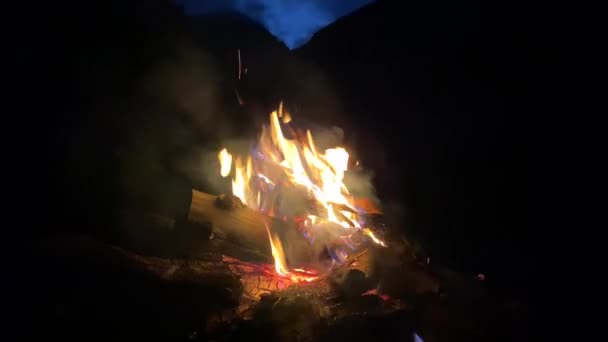Una Gran Hoguera Llamas Con Chispas Partículas Frente Bosque Las — Vídeos de Stock