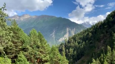 Güzel bir dağ manzarasının havadan görünüşü. Kuzey Elbrus bölgesinin yeşil yamaçları. Rüzgar orman vadisinde esiyor.