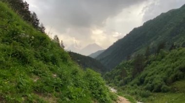 Dağlarda hafif yağmur. Fırtınalı dağ nehri. İçme suyu taşların üzerine dökülür. Kuzey Elbrus bölgesinin yeşil yamaçları. Güzel bir dağ manzaralı yaz manzarası.