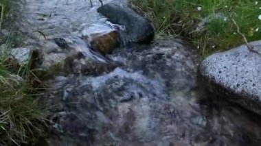 Güzel bir dağ deresi. Dağlardaki doğal temiz su kaynağı. Güzel bir dağ manzaralı yaz manzarası.