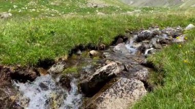 Güzel bir dağ deresi. Dağlardaki doğal temiz su kaynağı. Alp çayırları. Kuzey Elbrus bölgesinin yeşil kayalık yamaçları. Güzel bir dağ manzaralı yaz manzarası.
