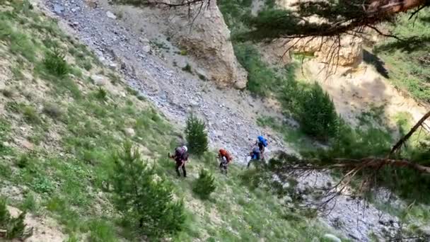 Τέσσερις Ορειβάτες Μεγάλα Σακίδια Και Κοντάρια Πεζοπορίας Περπατούν Κατά Μήκος — Αρχείο Βίντεο