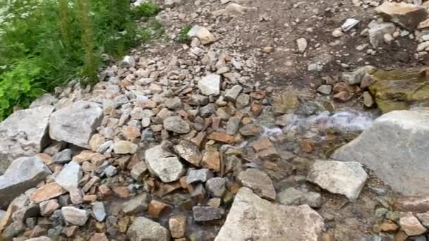 Ein Schöner Bach Fließt Einen Stürmischen Gebirgsbach Trinkwasser Ergießt Sich — Stockvideo