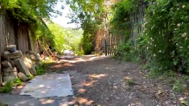 Tre Cani Campagna Corrono Fuori Dal Cortile Iniziano Abbaiare Paesaggio — Video Stock