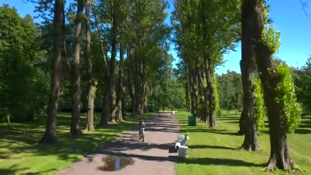 自転車は公園内の道路に沿って乗っています 背の高い緑の木々と美しい路地の空中ビュー 晴れた夏の日のドローン飛行 — ストック動画