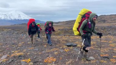 KAMCHATKA PENINSULA, RUSSIA - 9 Eylül 2020: Sırt çantalı ve yürüyüş direkli yürüyüşçüler grubu. Klyuchevskoy volkan parkında gezinti. Kamçatka Yarımadası 'na git..