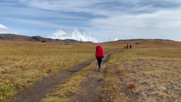 Tourist Girl Large Backpack Trekking Poles Walks Road Tundra Trekking — Stock Video