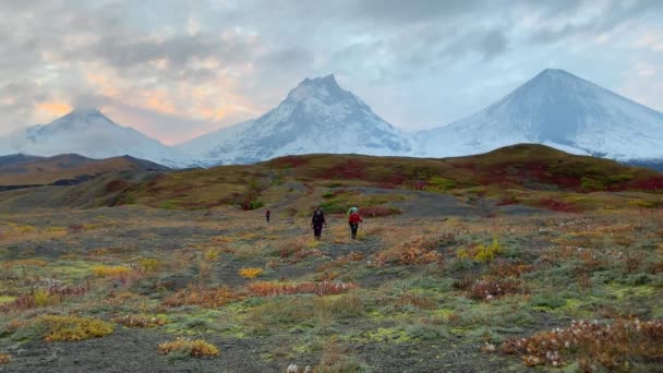 Two Girls Backpacks Trekking Poles Walking Autumn Tundra Bezymyanny Volcano — Stock Video