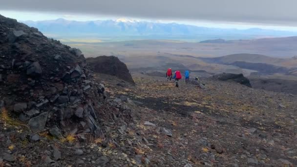 Hikers Backpacks Trekking Poles Walk Autumn Tundra Trekking Klyuchevskoy Volcano — Stock Video