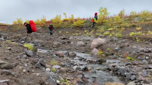 Grupp Turister Med Stora Ryggsäckar Och Vandringsstavar Korsar Liten Bäck — Stockvideo