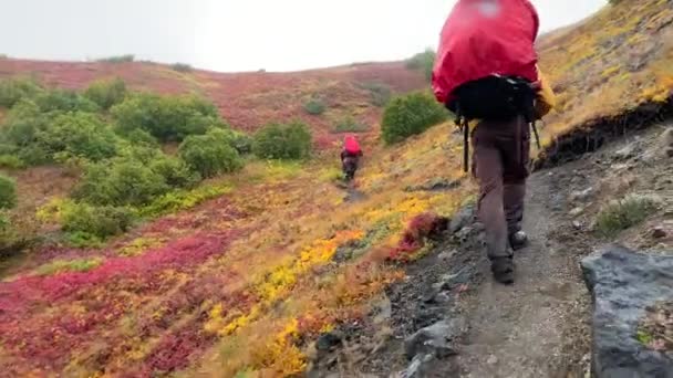 Podél Horské Stezky Kráčí Skupina Turistů Velkými Batohy Trekingovými Tyčemi — Stock video