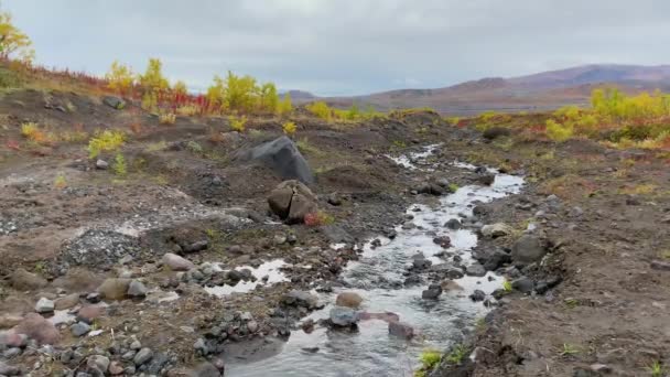 Pequeno Rio Montanha Com Água Limpa Fonte Natural Água Limpa — Vídeo de Stock