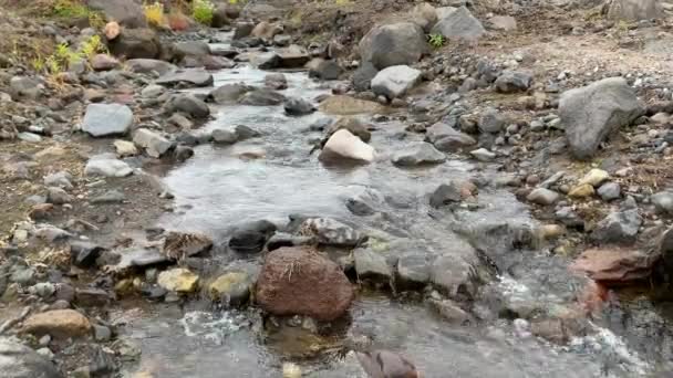 Viaje Para Península Kamchatka Belo Riacho Com Água Limpa Saborosa — Vídeo de Stock