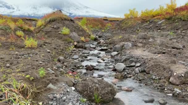 Górski Strumień Czystą Wodą Naturalne Źródło Czystej Wody Górach Podróż — Wideo stockowe