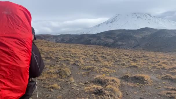 カムチャツカ半島 ロシア 2020年9月9日 バックパックとトレッキングポールを持つ観光客はトルバック火山に向かって歩きます クリウチェフスキー火山公園でのトレッキング カムチャツカ半島への旅行 — ストック動画