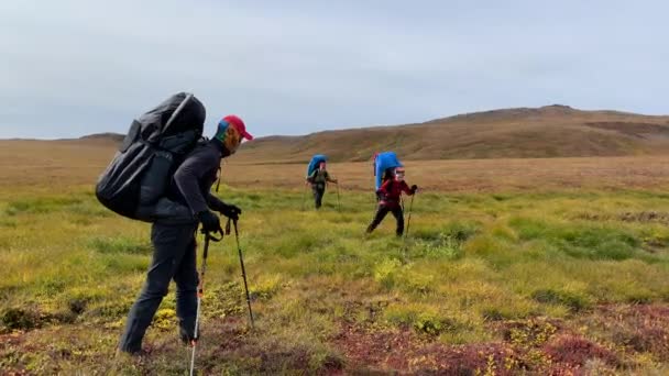 Kamchatka Peninsula Russia September 2020 一群背着背包和远足杆子的徒步旅行者穿过了一个小沼泽地 Klyuchevskoy火山公园徒步旅行 — 图库视频影像
