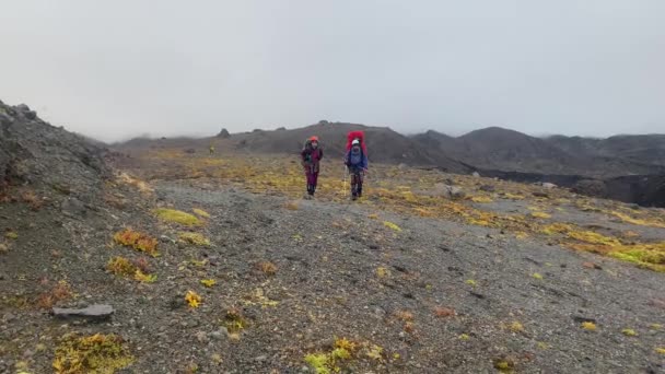 Kamchatka Peninsula Russia September 2020 男人和女人带着大背包和远足杆沿着Klyuchevskoy火山公园行走 — 图库视频影像