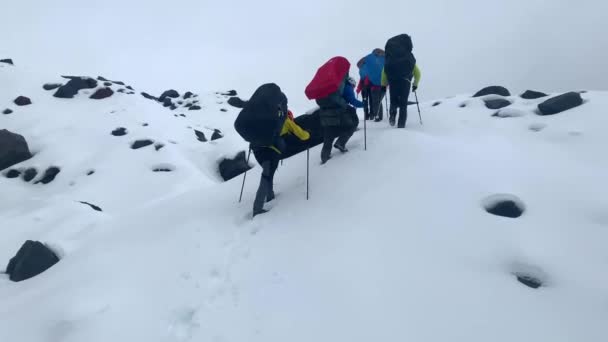 バックパックやトレッキングポールを持つ観光客の登山者は雪の中で石を歩いてください クリウチェフスキー火山公園でのトレッキング カムチャツカ半島への旅行 — ストック動画