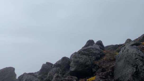 Cerca Del Volcán Bezymyanny Piedra Rompe Niebla Parque Volcán Klyuchevskoy — Vídeo de stock