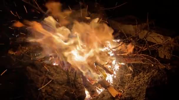 Izgalmas Videó Egy Nagy Lángoló Máglyáról Szikrákkal Részecskékkel Tábortűz Éjjel — Stock videók