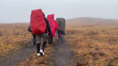 Bir grup turist tundra boyunca yürüyor, bazıları yağmurluk giyiyor. Arkadan bak. Klyuchevskoy volkan parkında gezinti. Sonbaharda Kamçatka Yarımadası 'na git..