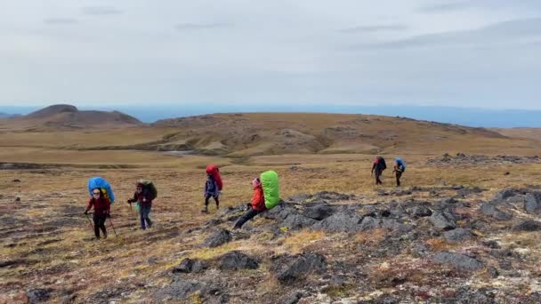 几个背著背包和远足杆的游客去远足 在Klyuchevskoy火山公园旅行 前往堪察加半岛 — 图库视频影像