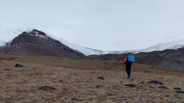 寂寞的年轻女子背着背包和远足的杆子沿着冻土带走向火山 在Klyuchevskoy火山公园旅行 前往堪察加半岛 — 图库视频影像