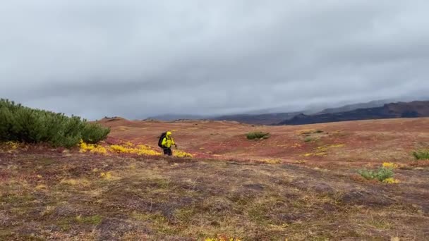 一个带着背包和手杖的徒步旅行者沿着美丽的秋天冻土带散步 在Klyuchevskoy火山公园旅行 前往堪察加半岛 — 图库视频影像