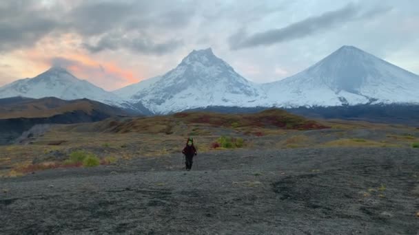 一个带着背包和远足杆子的旅行者在三座宏伟的火山背景下沿着冻土带散步 在Klyuchevskoy火山公园旅行 前往堪察加半岛 — 图库视频影像