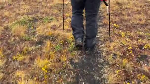 Kamchatka Peninsula Rusko Září 2020 Turista Černých Kalhotách Trekingovými Tyčemi — Stock video