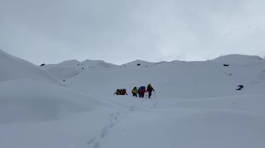 Sırt çantalı ve yürüyüş direkli bir grup dağcı orta Kamçatka 'nın karla kaplı tarlaları boyunca yürüyorlar. Dağ tırmanışı. Klyuchevskoy volkan parkında gezinti.