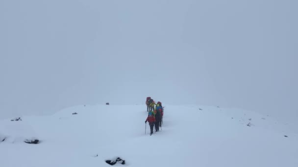 Büyük Sırt Çantalı Sekiz Dağcı Karda Karla Kaplı Bir Patika — Stok video