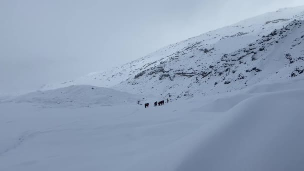 Grupo Alpinistas Com Mochilas Postes Trekking Seguem Outro Longo Uma — Vídeo de Stock