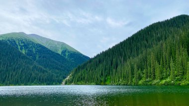 Kazakistan dağlarının derinliklerindeki bakir yeşil ormanlar. Orta Kolsai Gölü bir doğa koruma alanıdır. Ağaçlar ve dağlarla çevrili bir göl. Turizm, seyahat ve yürüyüş