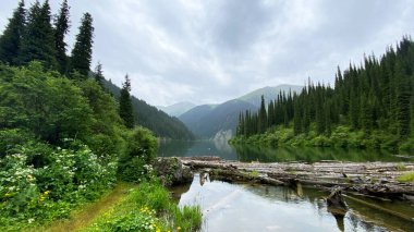 Kolsai Gölü 'nün ortasında. Kazakistan 'ın vahşi ormanlarıyla çevrili pitoresk bir dağ gölü. Turizm ve macera. Gezinti ve yürüyüş