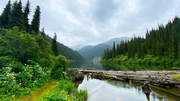 Kolsai Gölü 'nün ortasında. Kazakistan 'ın vahşi ormanlarıyla çevrili pitoresk bir dağ gölü. Turizm ve macera. Gezinti ve yürüyüş