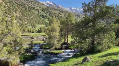 Tacikistan 'daki Alaudin Gölleri vadisinde fırtınalı bir dağ nehri. Yeşil tepeler, karlı dağ sıraları, tepeler ve kayalar, bakir orman ve güzel doğa..